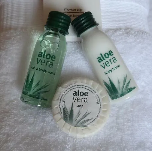 Cvit Jadrana * Split